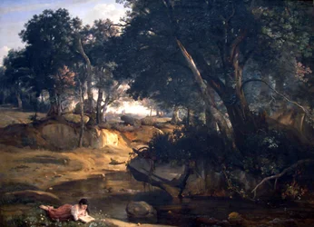 Forest of Fontainebleau